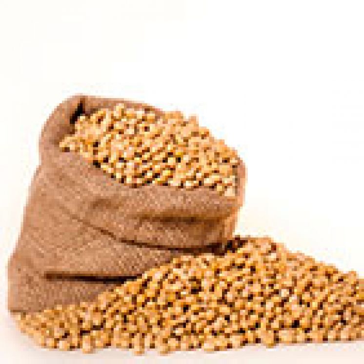 Grocery Manufacturers
